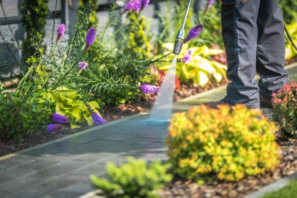 Best Restaurant Pressure Washing  in South Barre, VT