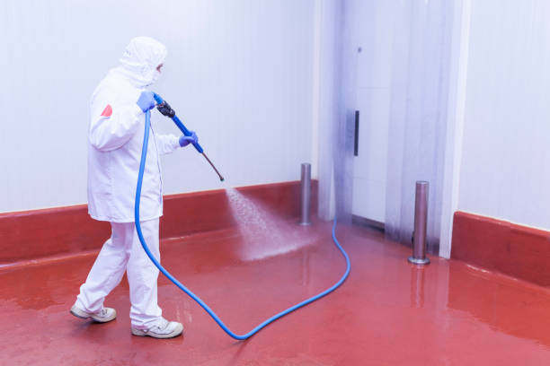 Best Boat and Dock Cleaning  in South Barre, VT